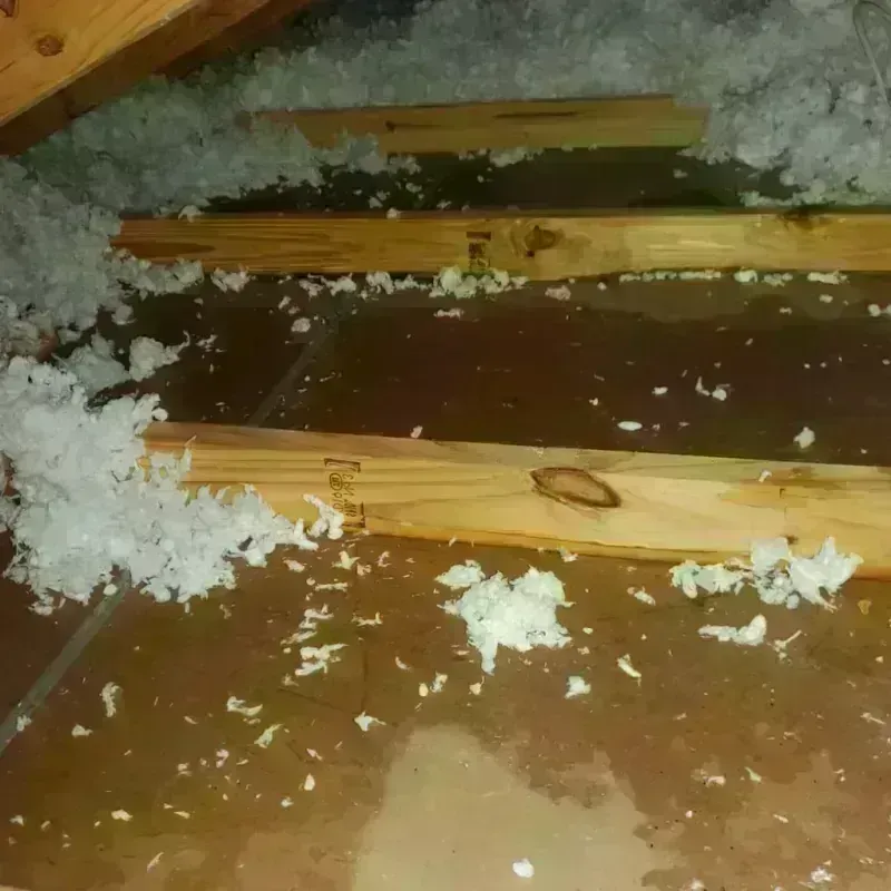 Attic Water Damage in Exeter, RI